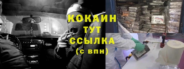молекула духа Заволжье