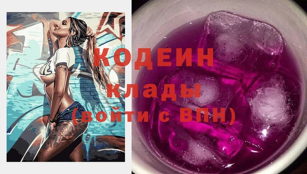 гидра Арсеньев
