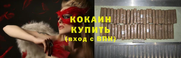 гидра Арсеньев