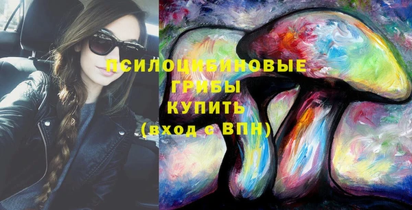 метадон Вяземский