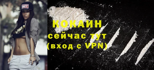 гидра Арсеньев