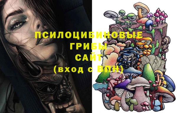 ешки Вязьма