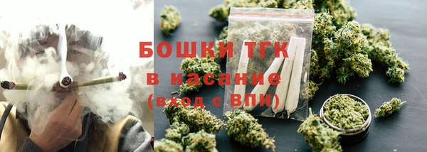 гидра Арсеньев