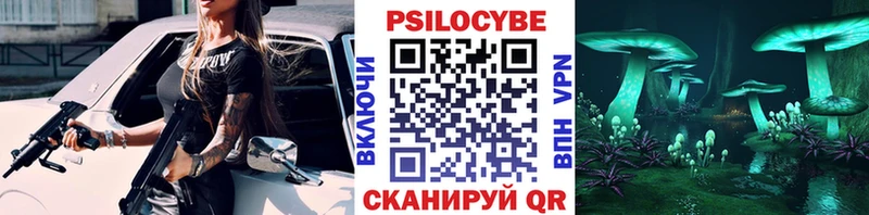 дарк нет формула  Королёв  Галлюциногенные грибы мицелий 